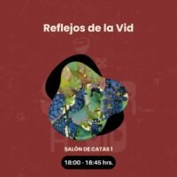 CA - Reflejos de la vid