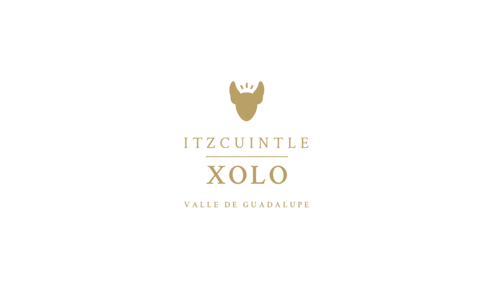 Itzcuintle xolo