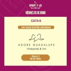 Un Viaje Entre Aromas 06